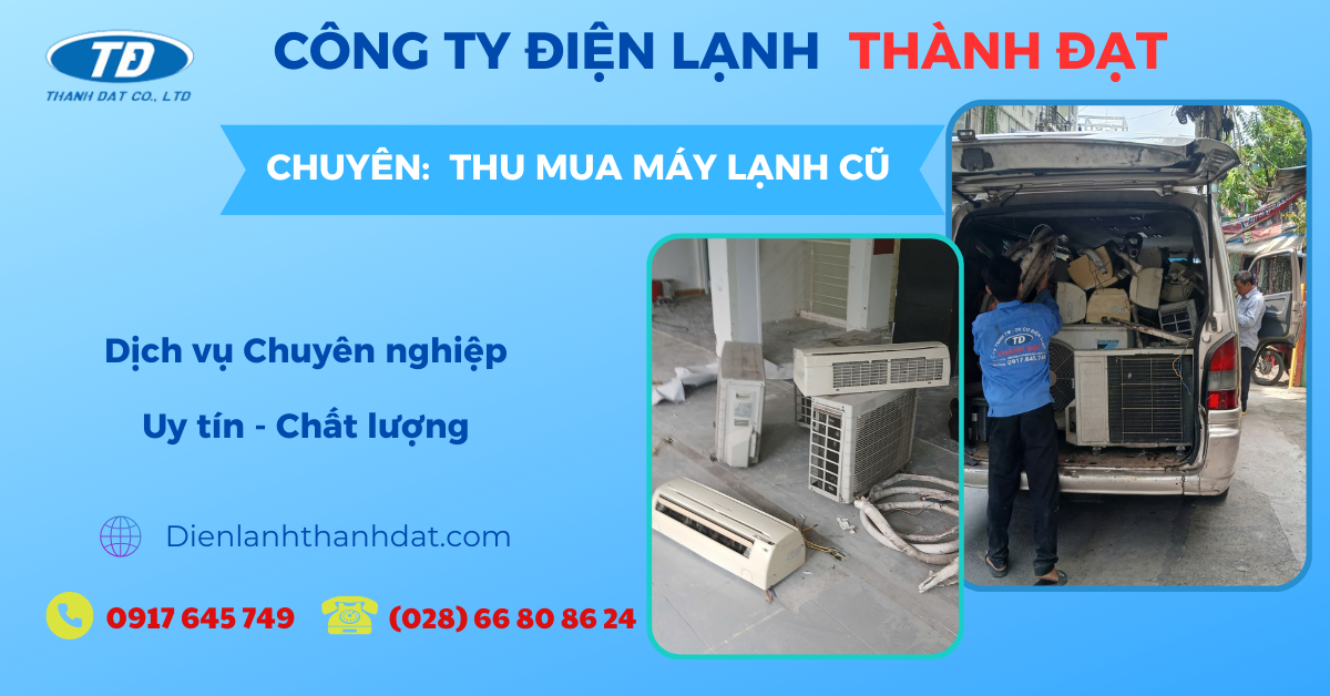 ien_Lanh_Thanh_Dat_-_2024-09-09T152305.717